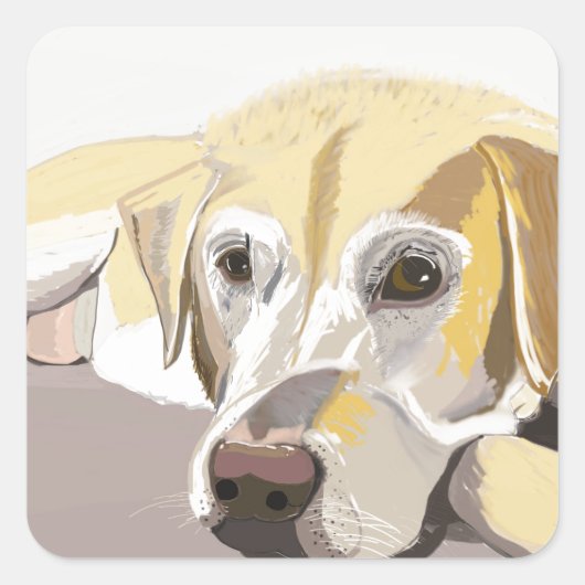 Golden Labrador Vierkante Sticker (Voorkant)