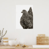 Golden Laced Wyandotte Chicken Poster (Keuken)