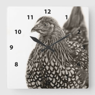 Golden Laced Wyandotte Chicken Vierkante Klok