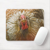 Golden Laced Wyandotte Hen Muismat (Met muis)