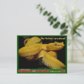 Golden Lancehead, gevaarlijkste bedreigde slang Briefkaart (Staand voorkant)