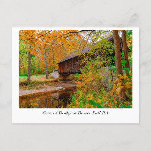Golden Leaves en tijdloze schoonheid: Bever Herfst Briefkaart