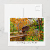 Golden Leaves en tijdloze schoonheid: Bever Herfst Briefkaart (Voorkant / Achterkant)