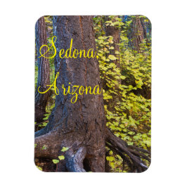 Golden Leaves op West Fork Trail Magneet