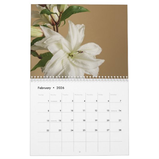 Golden Light calendar 2026 Kalender (Feb 2026)