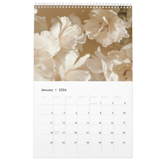 Golden Light calendar 2026 (medium) Kalender (Jan 2026)