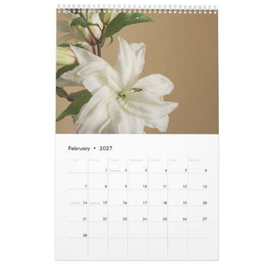 Golden Light kalender 2026 (medium) (Feb 2027)