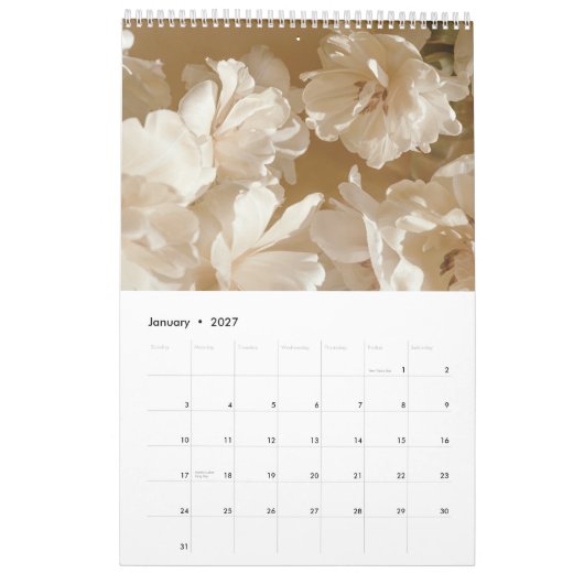 Golden Light kalender 2026 (medium) (Jan 2027)