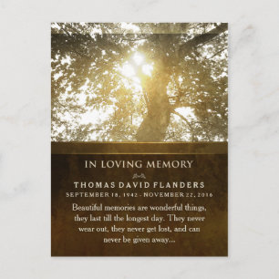 Golden Light Tree in Memory Sympathie Hartelijk da Briefkaart