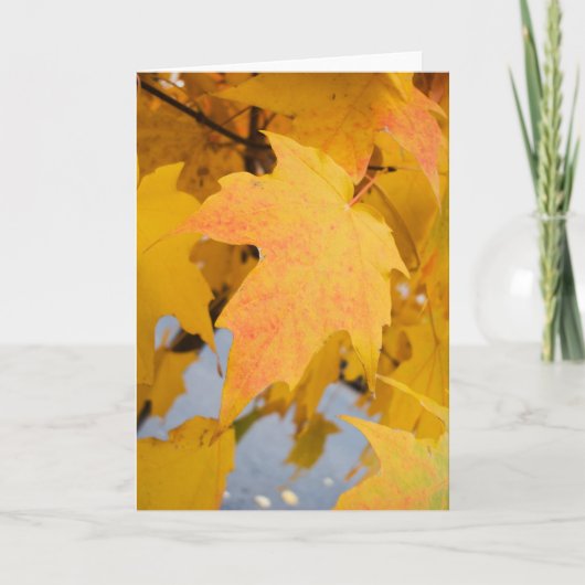 Golden Light-Wenskaart Kaart (Voorkant)