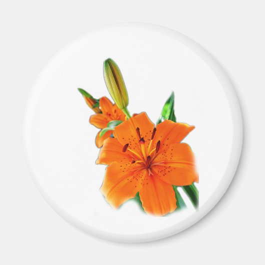 Golden Lily Magneet (Voorkant)