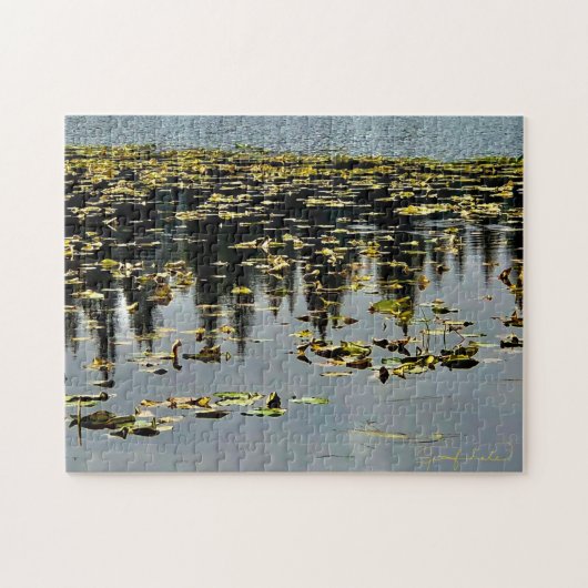 Golden Lily Pads Legpuzzel (Horizontaal)