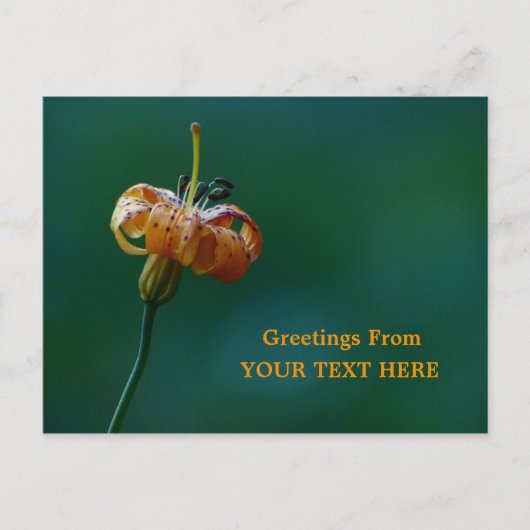 Golden Lily Wildflower Greetings Keepomwille Briefkaart (Voorkant)