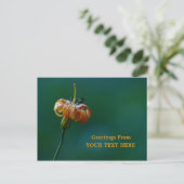 Golden Lily Wildflower Greetings Keepomwille Briefkaart (Staand voorkant)