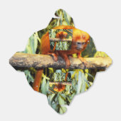 Golden Lion Tamarin Bedankdoosjes (Uitgevouwen)