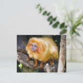 Golden Lion Tamarin Briefkaart (Staand voorkant)
