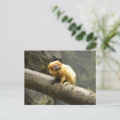 Golden Lion Tamarin Briefkaart (Staand voorkant)
