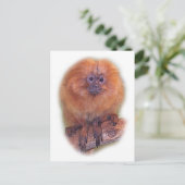Golden Lion Tamarin, Golden Marmoset Monkey Brazil Briefkaart (Staand voorkant)