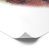 Golden Lion Tamarin, Golden Marmoset Monkey Brazil Poster (Hoek)