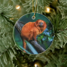 Golden Lion Tamarin Keramisch Ornament