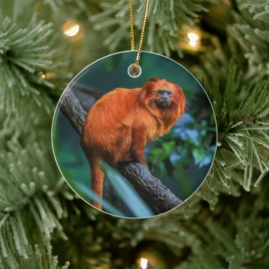 Golden Lion Tamarin Keramisch Ornament (Boom)