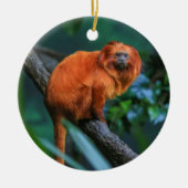 Golden Lion Tamarin Keramisch Ornament (Voorkant)