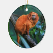 Golden Lion Tamarin Keramisch Ornament (Links)