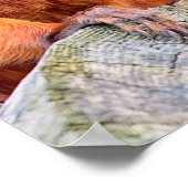 Golden Lion Tamarin kwam bij het sluiten van de lo Poster (Hoek)