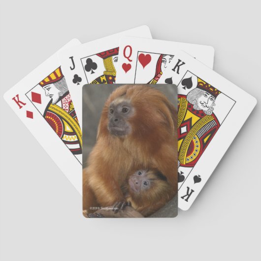 Golden Lion Tamarin met Baby 2 Pokerkaarten (Achterkant)