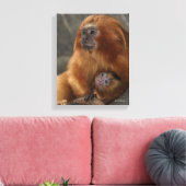 Golden Lion Tamarin met Baby Canvas Afdruk (Insitu (Woonkamer))