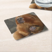 Golden Lion Tamarin met Baby Kartonnen Onderzetters (Schuin)