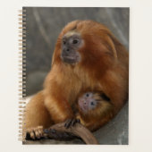 Golden Lion Tamarin met Baby Planner (Voorkant)