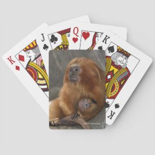 Golden Lion Tamarin met Baby Pokerkaarten