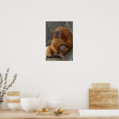 Golden Lion Tamarin met Baby Poster (Keuken)