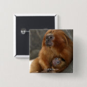 Golden Lion Tamarin met Baby Vierkante Button 5,1 Cm (Voorkant /achterkant)