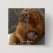 Golden Lion Tamarin met Baby Vierkante Button 5,1 Cm (Voorkant)