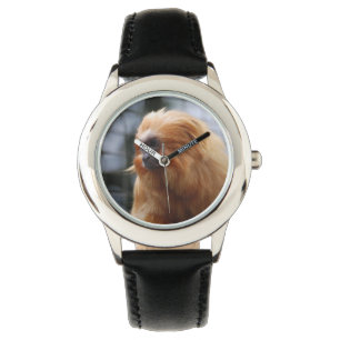 Golden Lion Tamarin Monkey Horloge