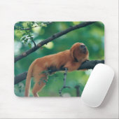 GOLDEN LION TAMARIN MONKEY MARMOSET MUISMAT (Met muis)