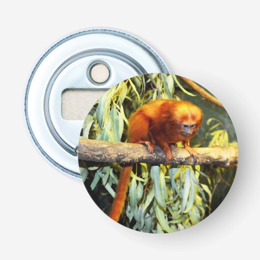 Golden Lion Tamarin Observing, Bottle Open Button Flesopener (Voorkant)