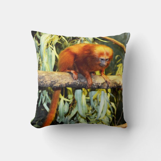 Golden Lion Tamarin Observing, Cushion Kussen (Voorkant)