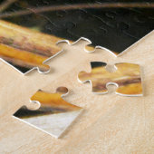 Golden Lion Tamarin Observing, Jigzaag Puzzle Legpuzzel (Zijkant)