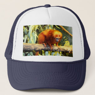 Golden Lion Tamarin Observing, Truckers Pet