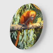Golden Lion Tamarin Observing, Wall Clock Grote Klok (Hoek)