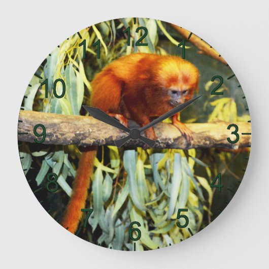 Golden Lion Tamarin Observing, Wall Clock Grote Klok (Voorkant)