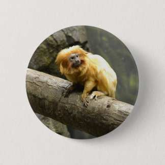 Golden Lion Tamarin Ronde Button 5,7 Cm