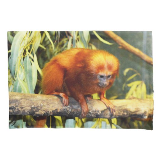 Golden Lion Tamarin Whats Up, Pillowcase Kussensloop (Voorkant)