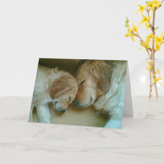 Golden Love Kaart (Gele Bloem)