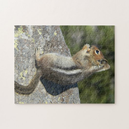 Golden Mantled Ground Eekhoorn Natuur Foto Legpuzzel (Horizontaal)