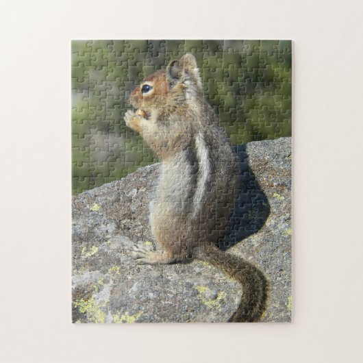 Golden Mantled Ground Eekhoorn Natuur Foto Legpuzzel (Verticaal)