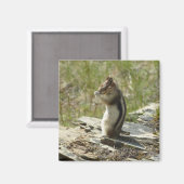 Golden-Mantled Ground Squirrel at Glacier I Magneet (Voorkant / Achterkant)